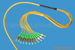 寧波緯誠網絡通信科技光纖跳線產品全覽